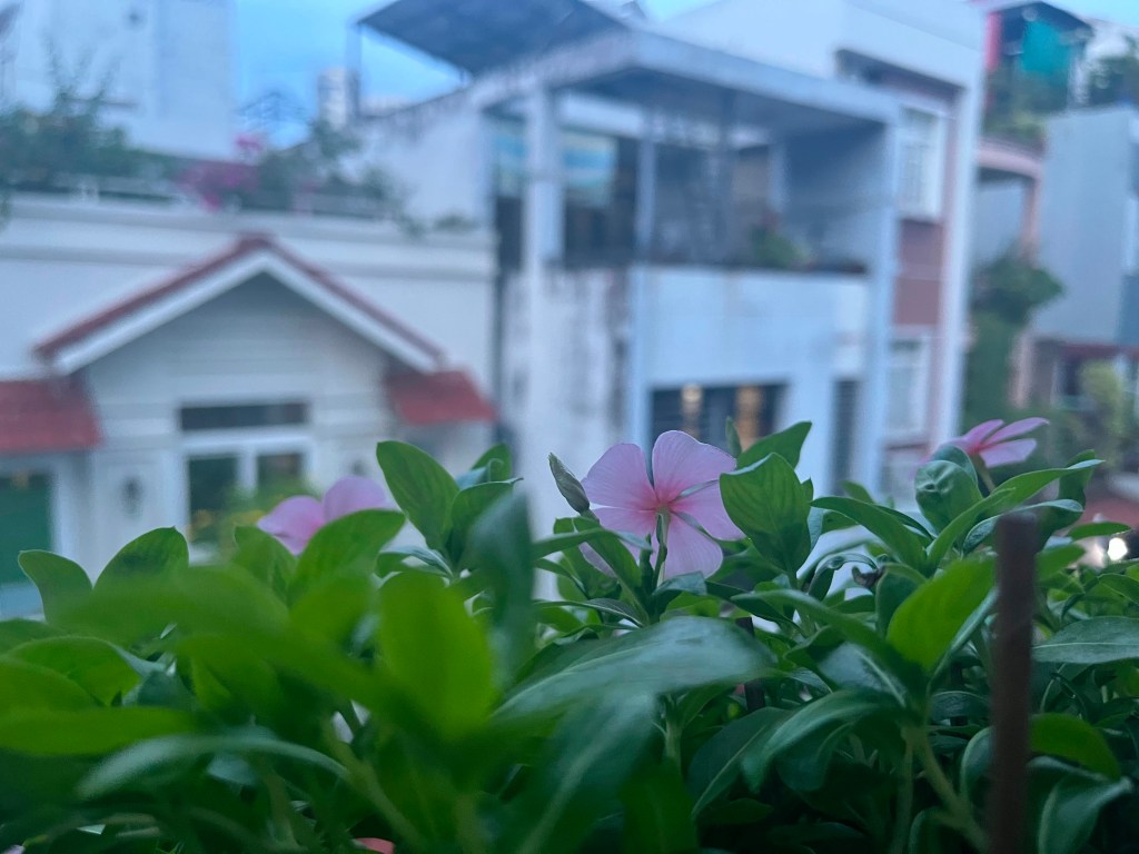 Để biết mình tồn&nbsp;tại