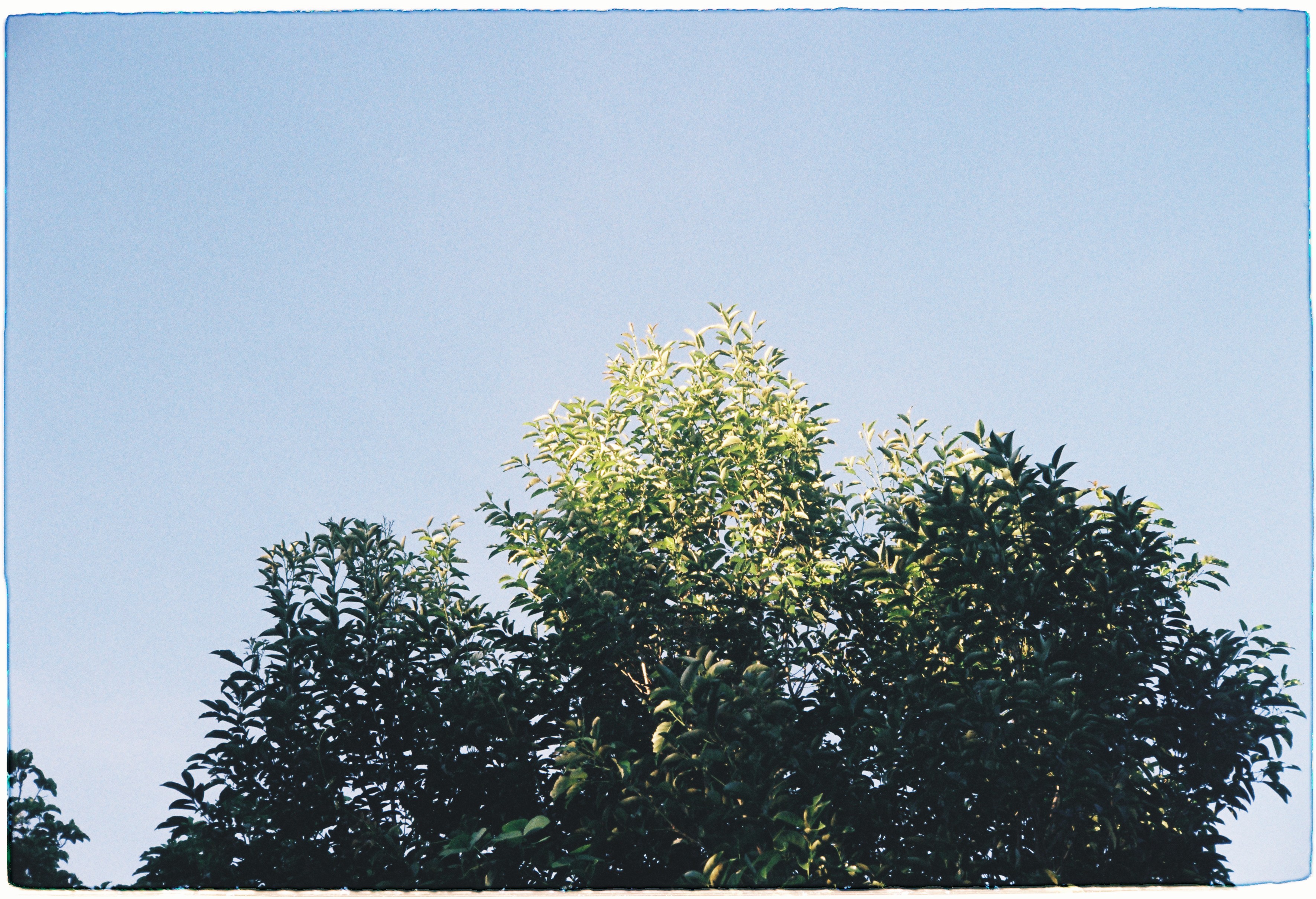 nếu bánh xe thời gian quay trở lại