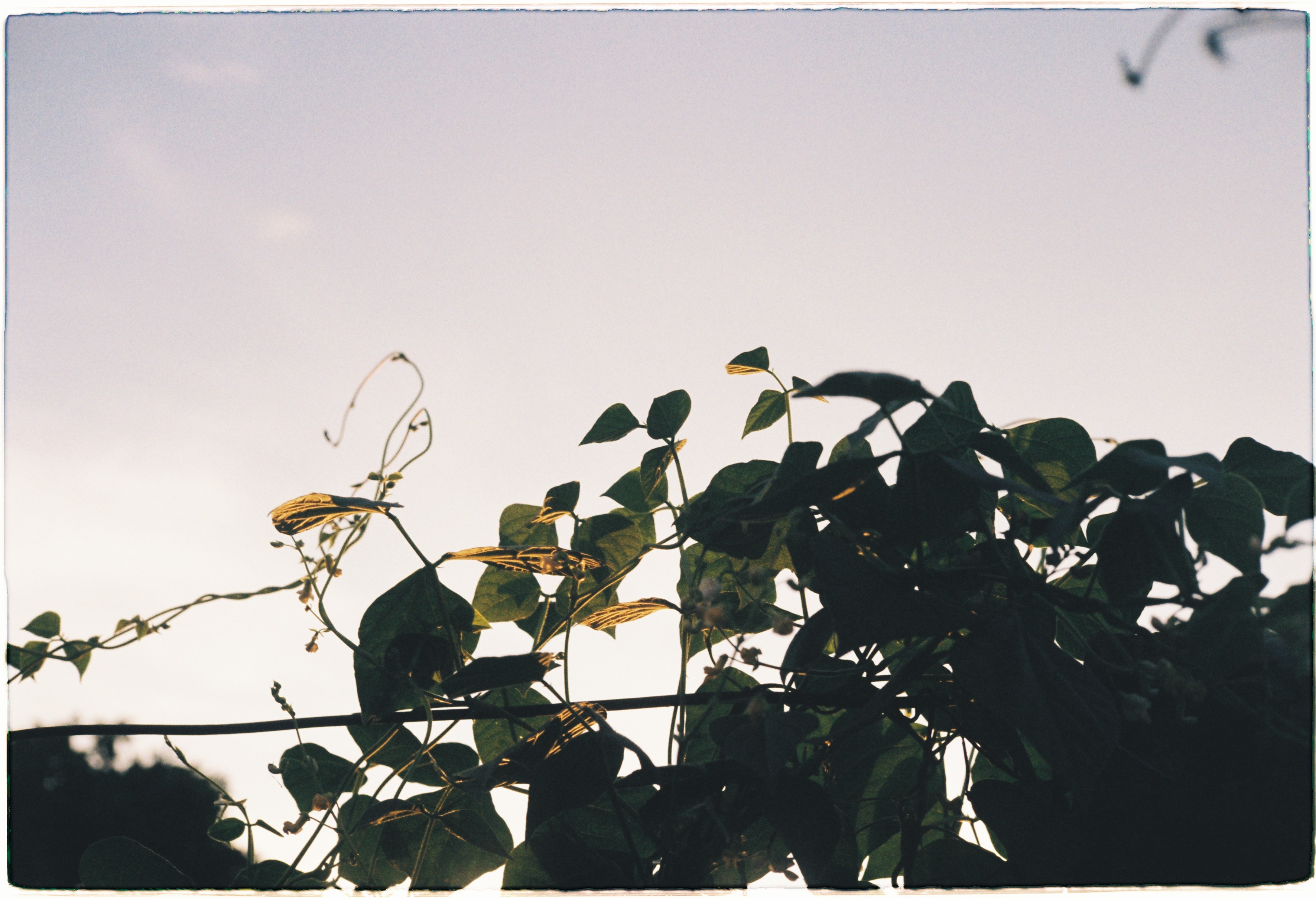 Đã bao lâu rồi bạn chưa hỏi thăm cảm xúc của mình?